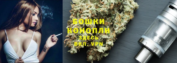 амф Заволжье