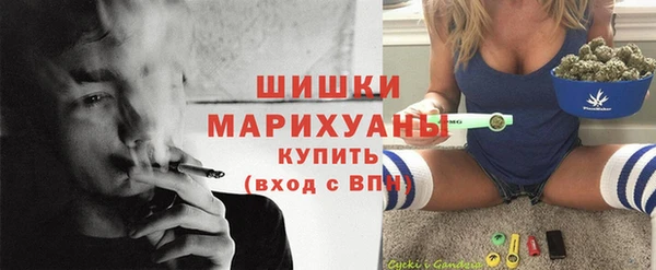 амф Заволжье