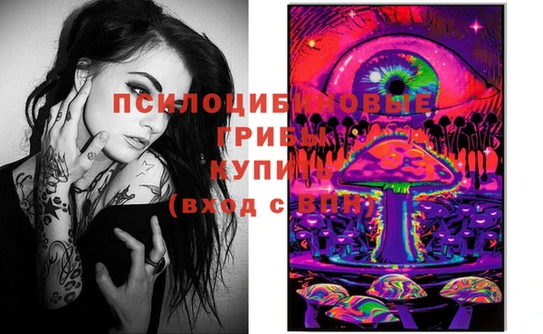 амф Заволжье