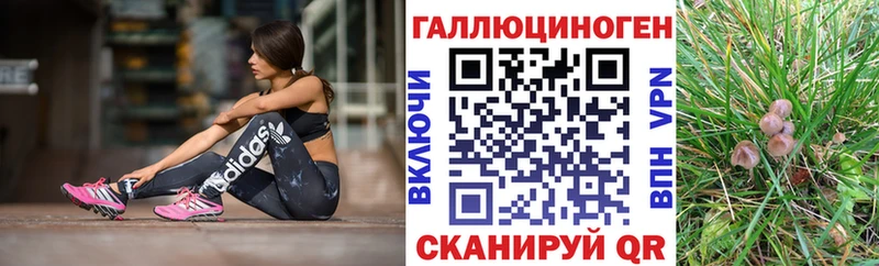 сколько стоит  Каменск-Шахтинский  kraken ТОР  Галлюциногенные грибы мухоморы 