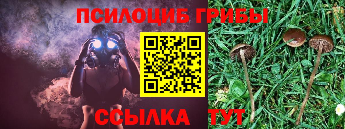 LSD-25  Каменск-Шахтинский  Вход с VPN  Меф МЯУ МЯУ кристаллы  ЭКСТАЗИ  ГАШ 