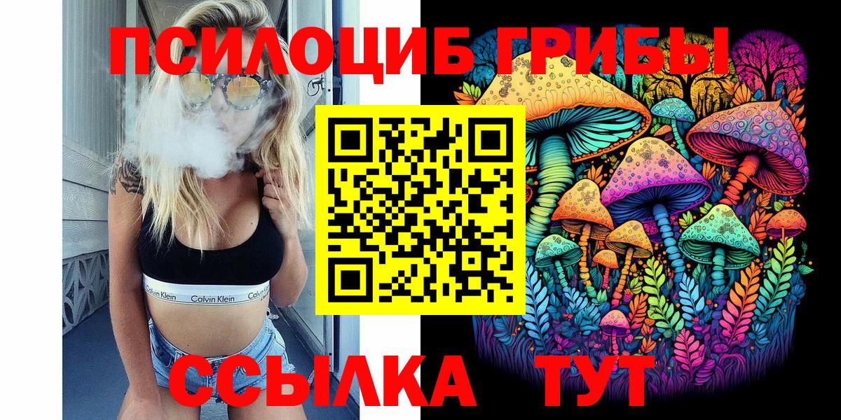 Псилоцибиновые грибы ЛСД  где продают   Каменск-Шахтинский  Псилоцибиновые грибы мухоморы  Вход с VPN 