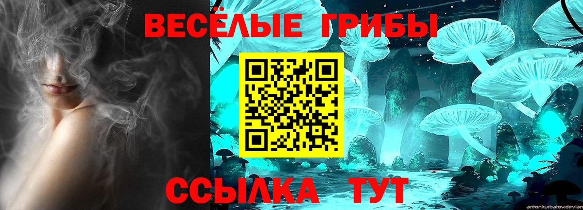 Псилоцибиновые грибы Magic Shrooms Каменск-Шахтинский