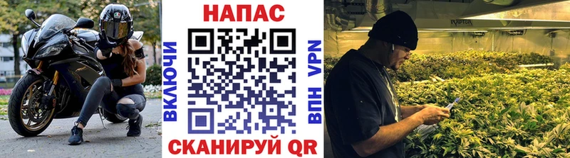 где продают наркотики  Каменск-Шахтинский  МАРИХУАНА SATIVA & INDICA 